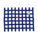 Window Racing Net 22"x18"
